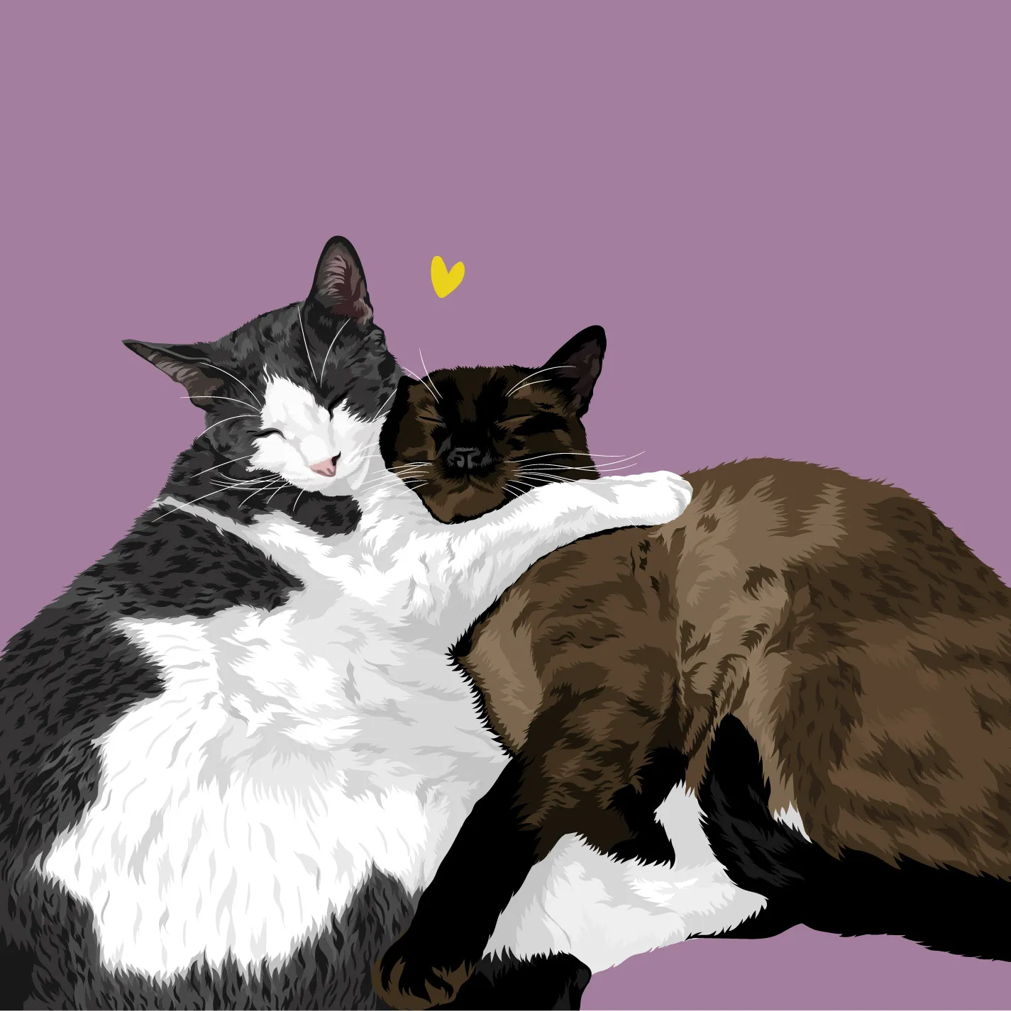 Dos gatos abrazados durmiendo