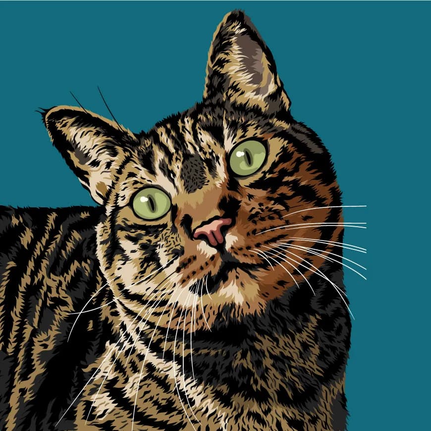 Gato atigrado de mirada intensa