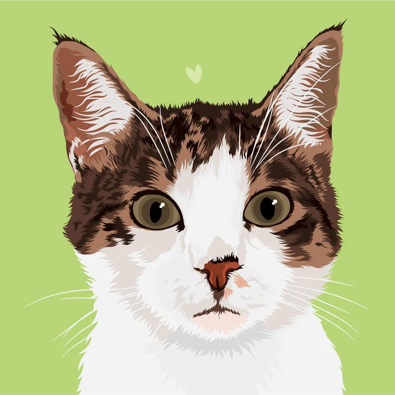 Gatito blanco y café de ojos grandes