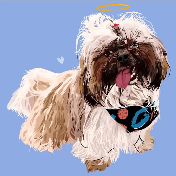 Shih tzu de moño con halo, ilustrado en su memoria